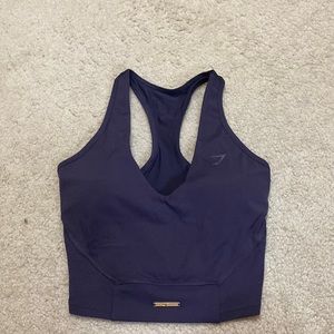 Whitney Simmons Crop Top